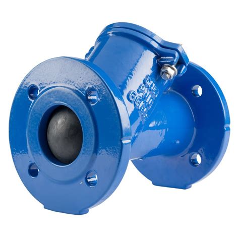 paint gun check valve|Check Valve .